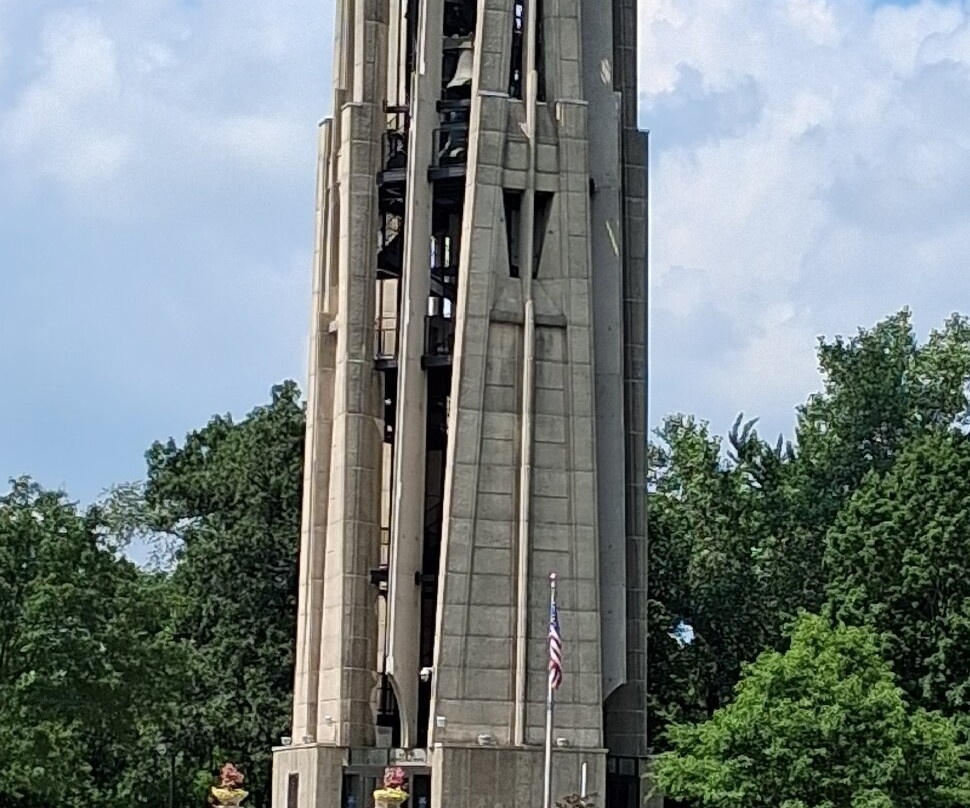Moser Tower & Millennium Carillon-内珀维尔必去景点