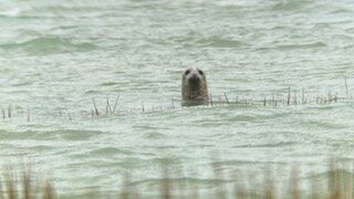 Maxim Guide Baie de Somme-Boismont必去景点