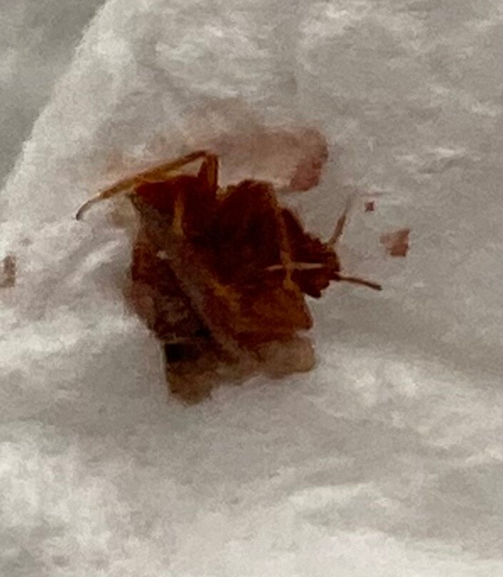 Quality Inn & Suites Keokuk North主图