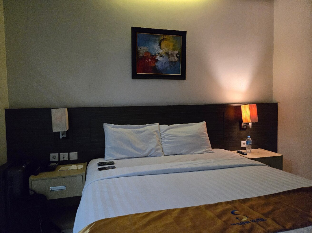 The Safin Hotel Pati主图