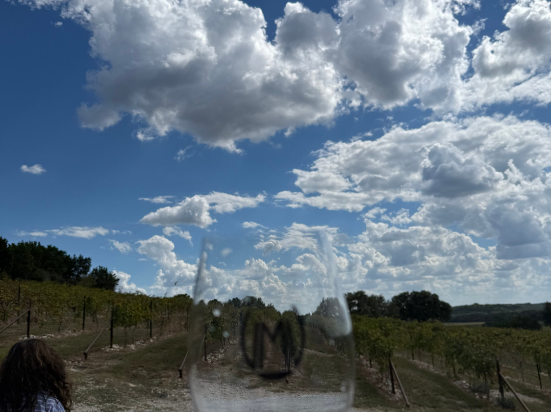 Valley Mills Vineyards-韦科必去景点