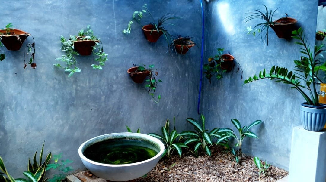 Pavana Hotel - Negombo主图