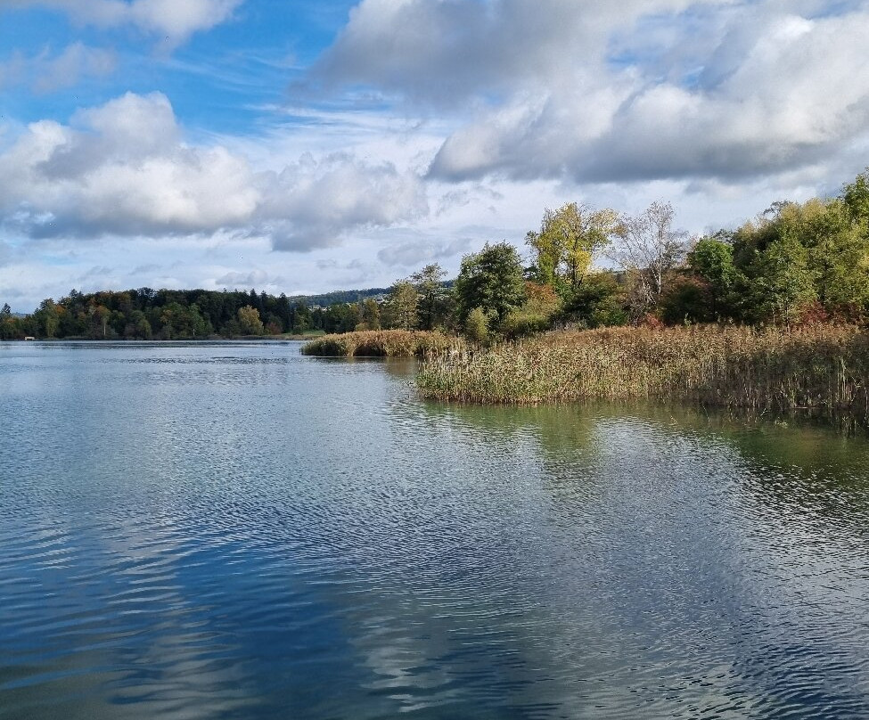 Seeuferweg Hallwilersee-Seengen必去景点