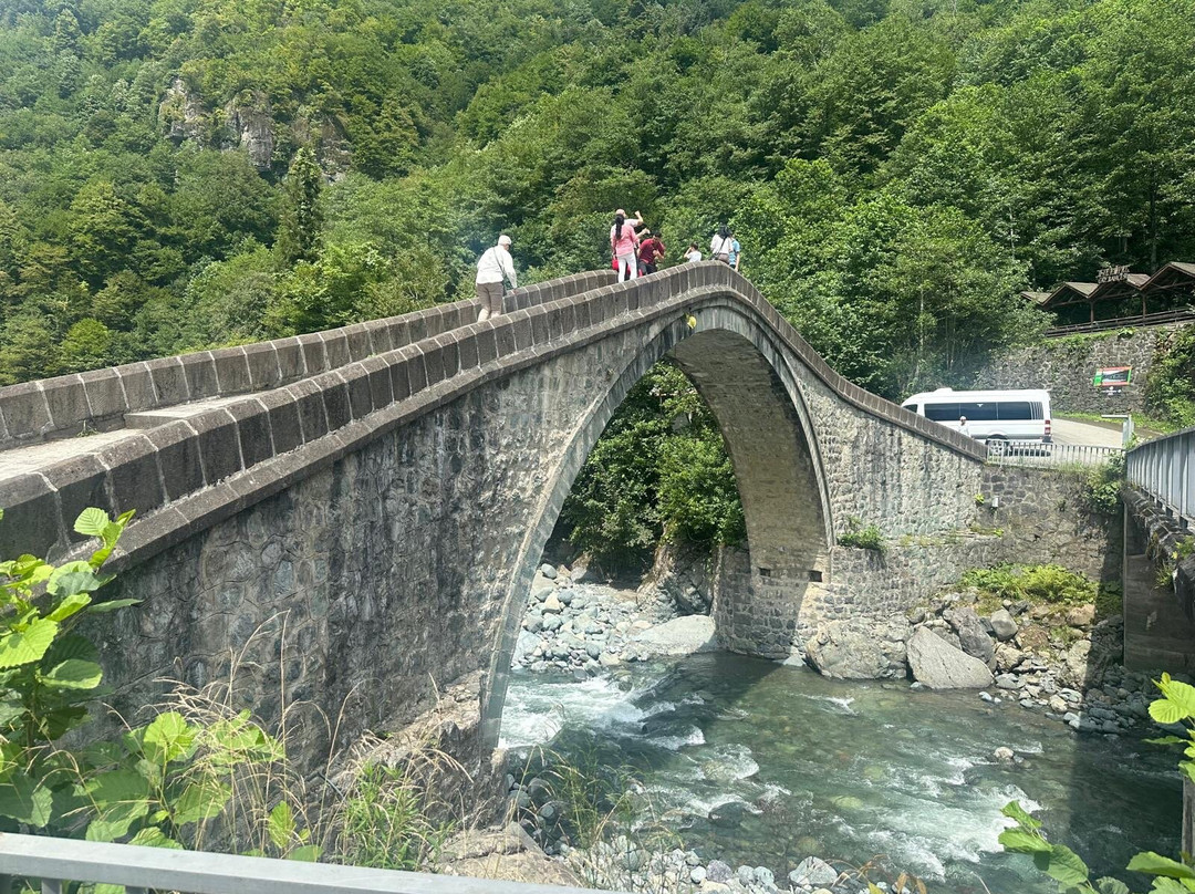 Twin Bridge-Artvin必去景点