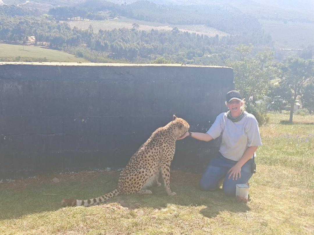 Cornell Skop-Botrivier必去景点