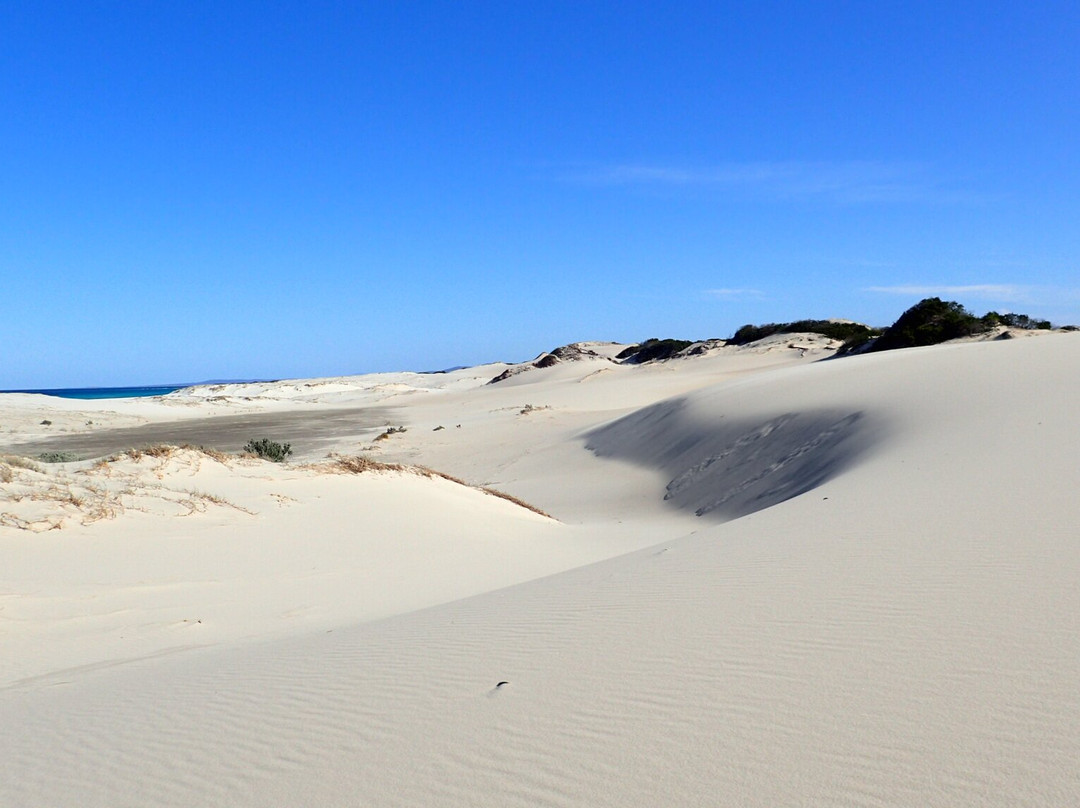 Tasmanian Expeditions-Invermay必去景点