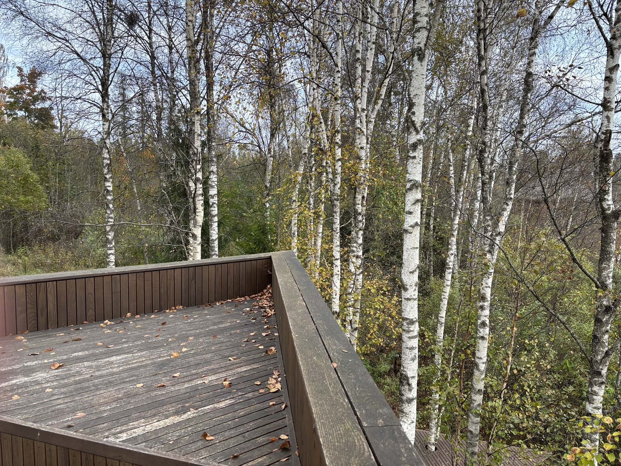 Maidla Nature Resort-官方