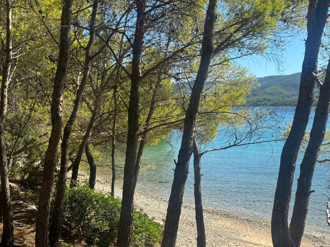 Suncokret Body and Soul Retreat主图