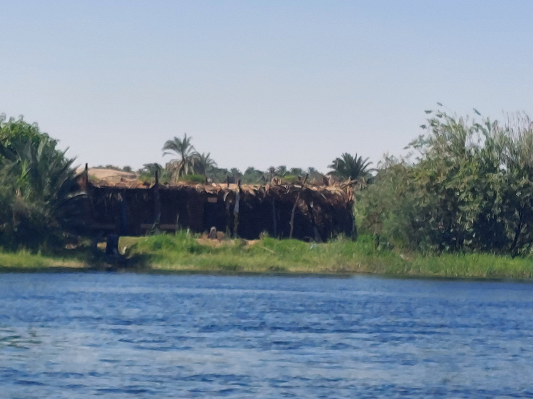 Nile Crocodile Felucca Tour-亚斯文必去景点