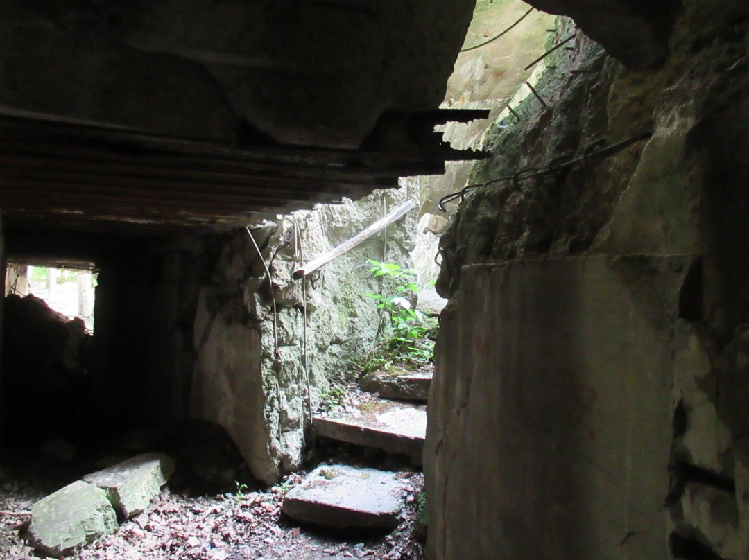 Wilczy Szaniec-Gierloz必去景点