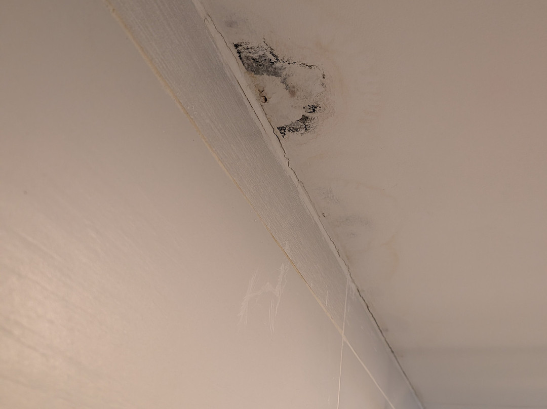 Sunrise Hanoi Hotel主图