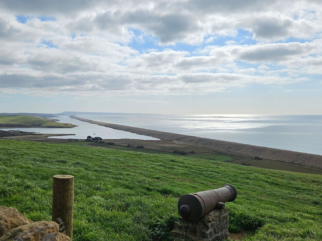 Abbotsbury Subtropical Gardens-Abbotsbury必去景点