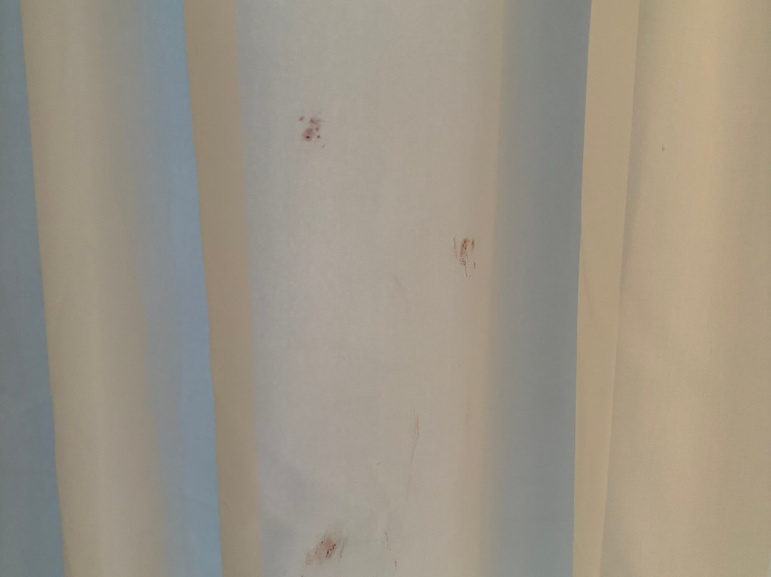 Seven Seas Jolie Bay主图