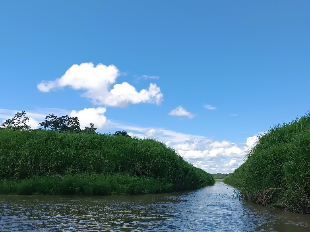 Muyuna Amazon Lodge Experience-伊基托斯必去景点