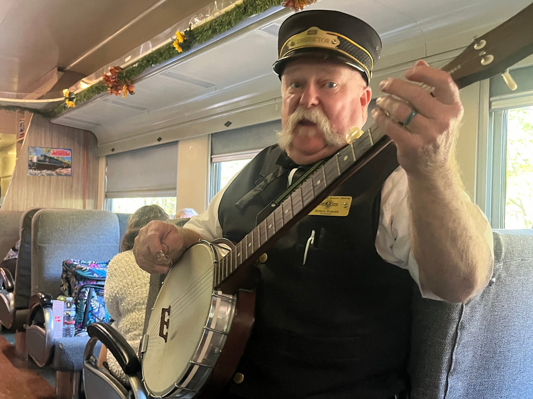 Tennessee Valley Railroad Museum-查塔努加必去景点