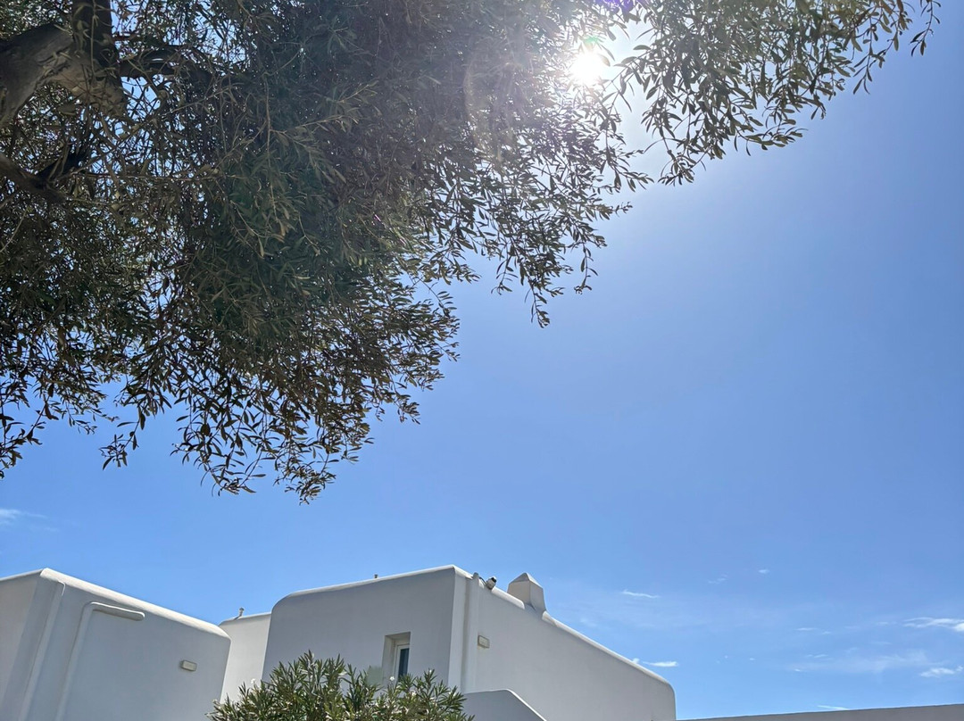 维努拉花园酒店主图