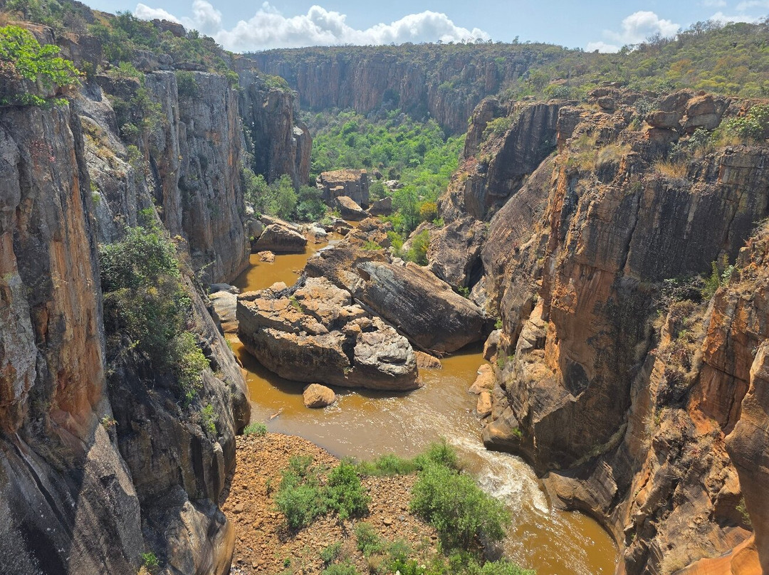 The Other Animals Safaris-克鲁格国家公园必去景点