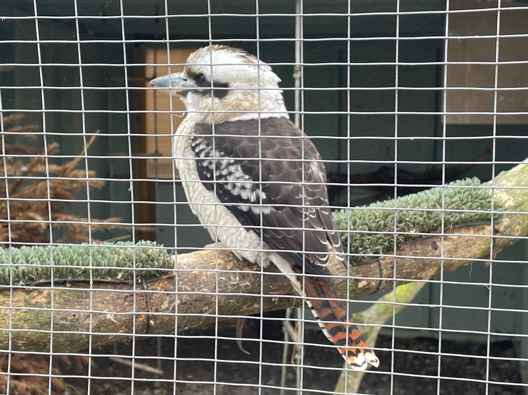 Holmes Chapel Zoo-Holmes Chapel必去景点