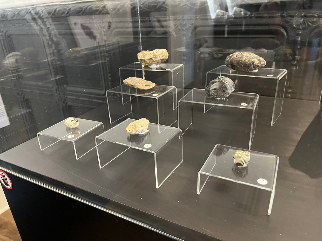 Poozeum-威廉姆斯必去景点