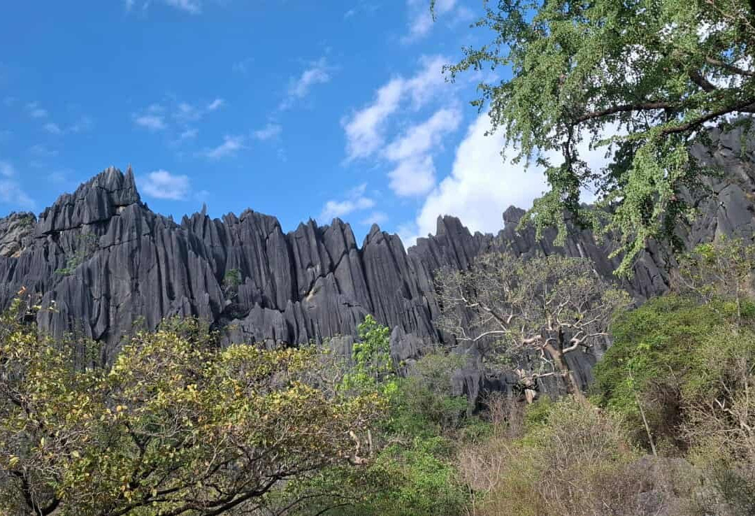 Savannahlander-凯恩斯必去景点