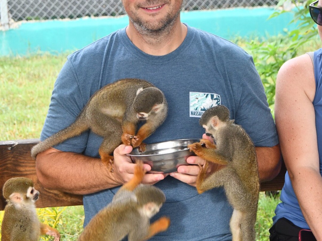 Monkey Home Puerto Plata-普拉塔港必去景点