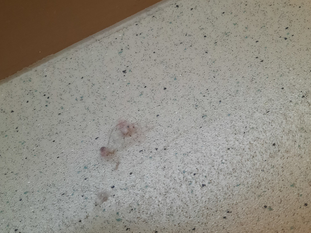 宜必思快捷纽波特酒店主图
