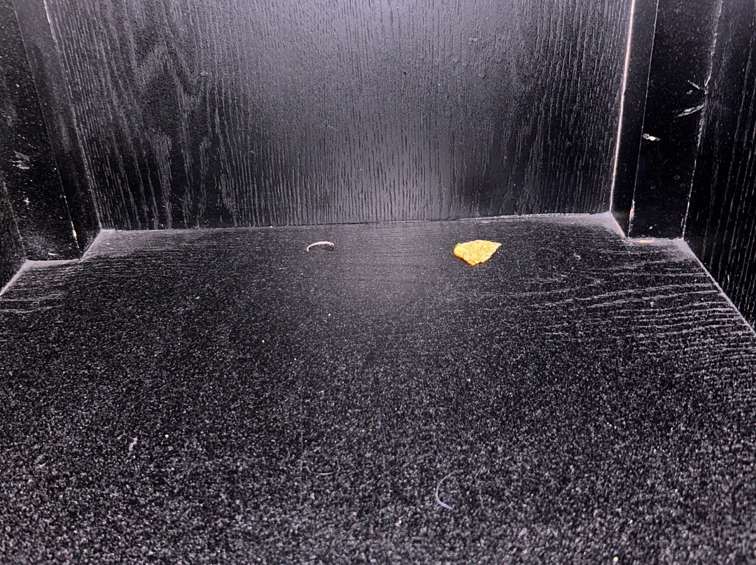 Bastion Hotel Amsterdam Airport主图