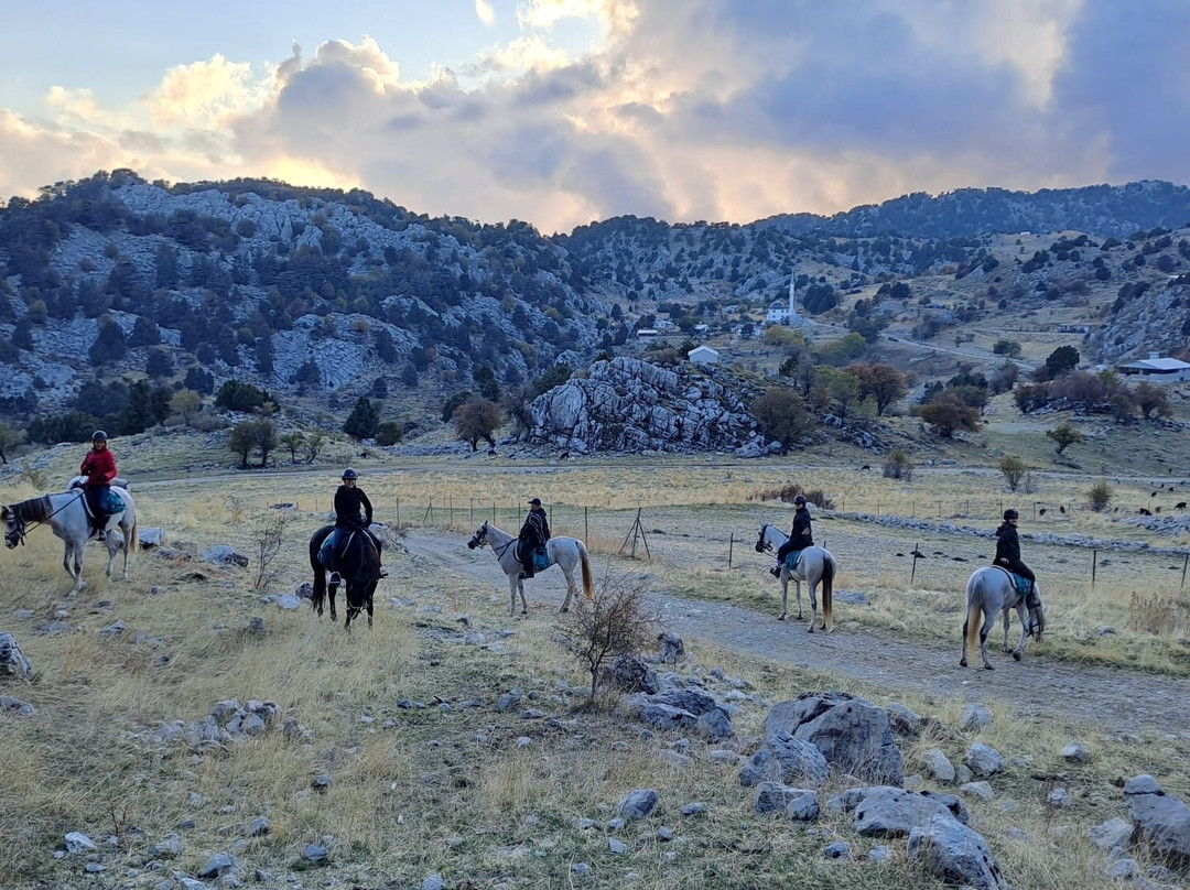 Hilal Ranch Kemer Horse Riding Center-凯梅尔必去景点