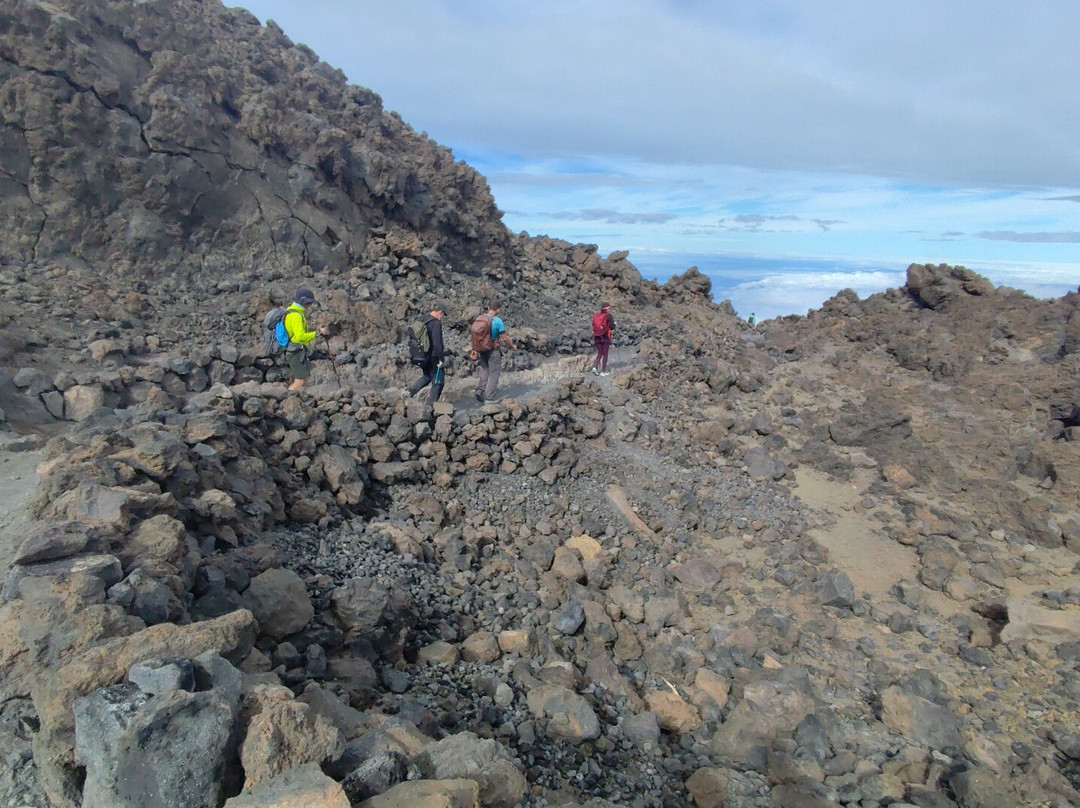Canarias Nature Guides-Tegueste必去景点