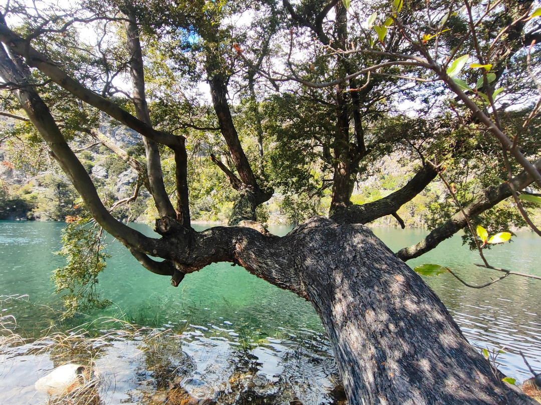 Paseos Náuticos Cochrane-Cochrane必去景点