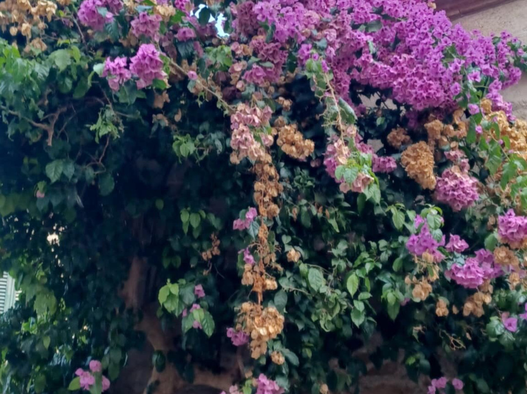 Centro Storico Di Castiglione Della Pescaia-佩斯卡亚堡必去景点