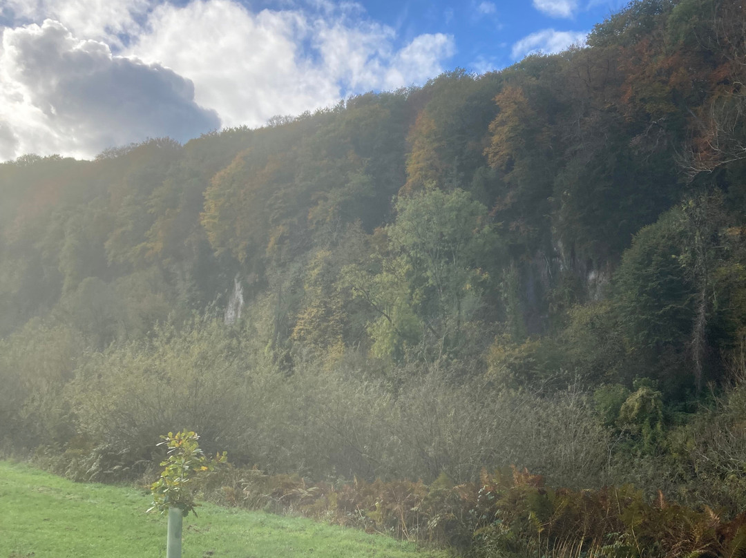 King Arthur's Cave-Symonds Yat必去景点