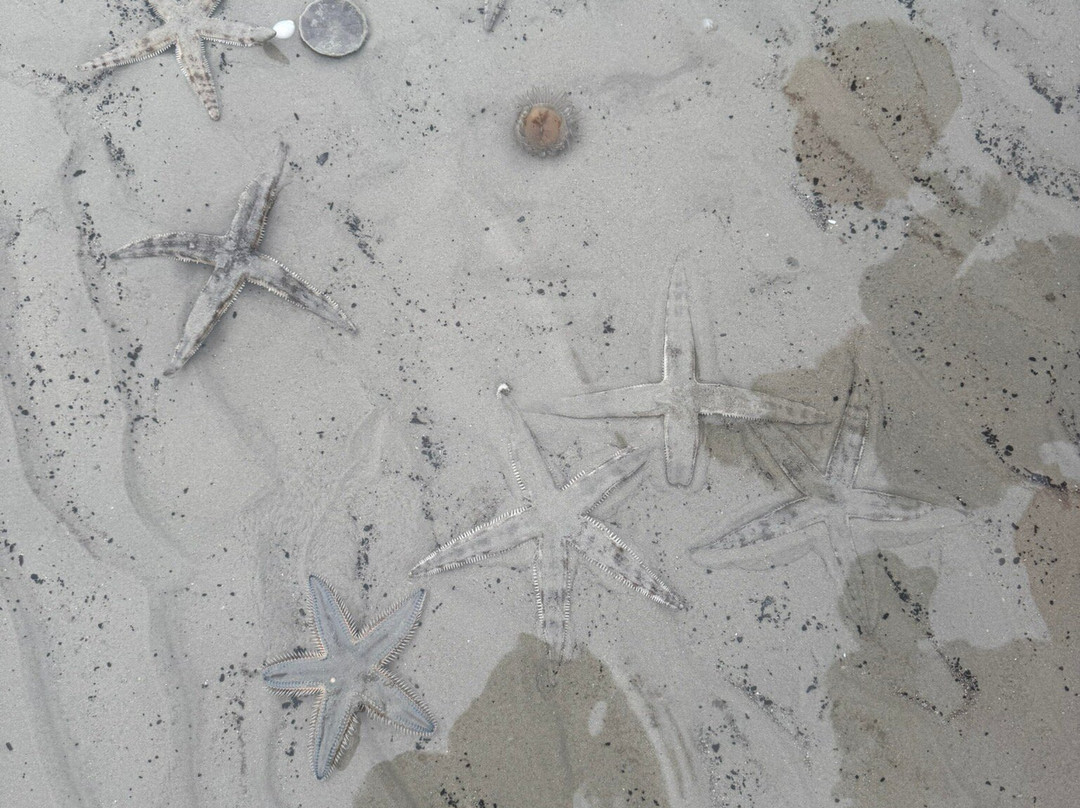 Hin Ngam Beach-士春必去景点