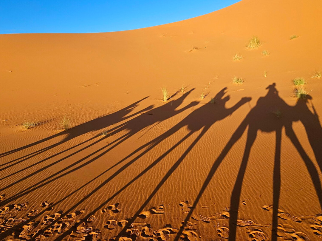 Camel Trekking-梅如卡必去景点