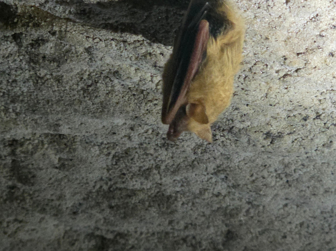 Cascade Caverns-Boerne必去景点