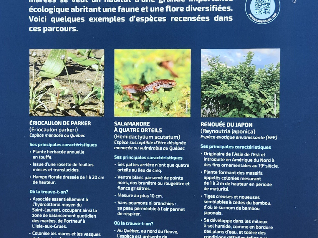 Route Bleue, Section Cap Santé-Cap Sante必去景点