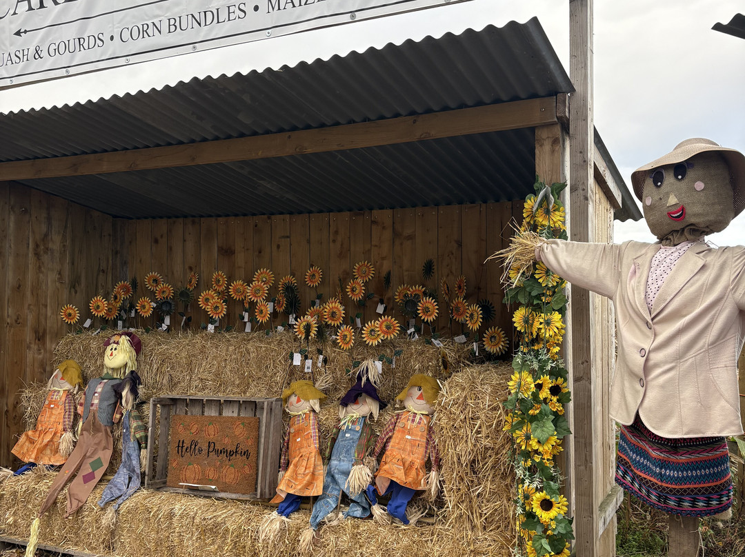 Wheelock Hall Farm-Sandbach必去景点