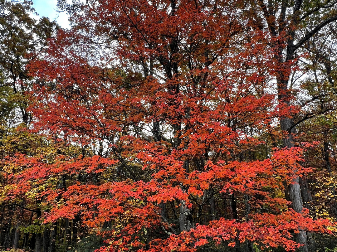 Harriman State Park-Bear Mountain必去景点