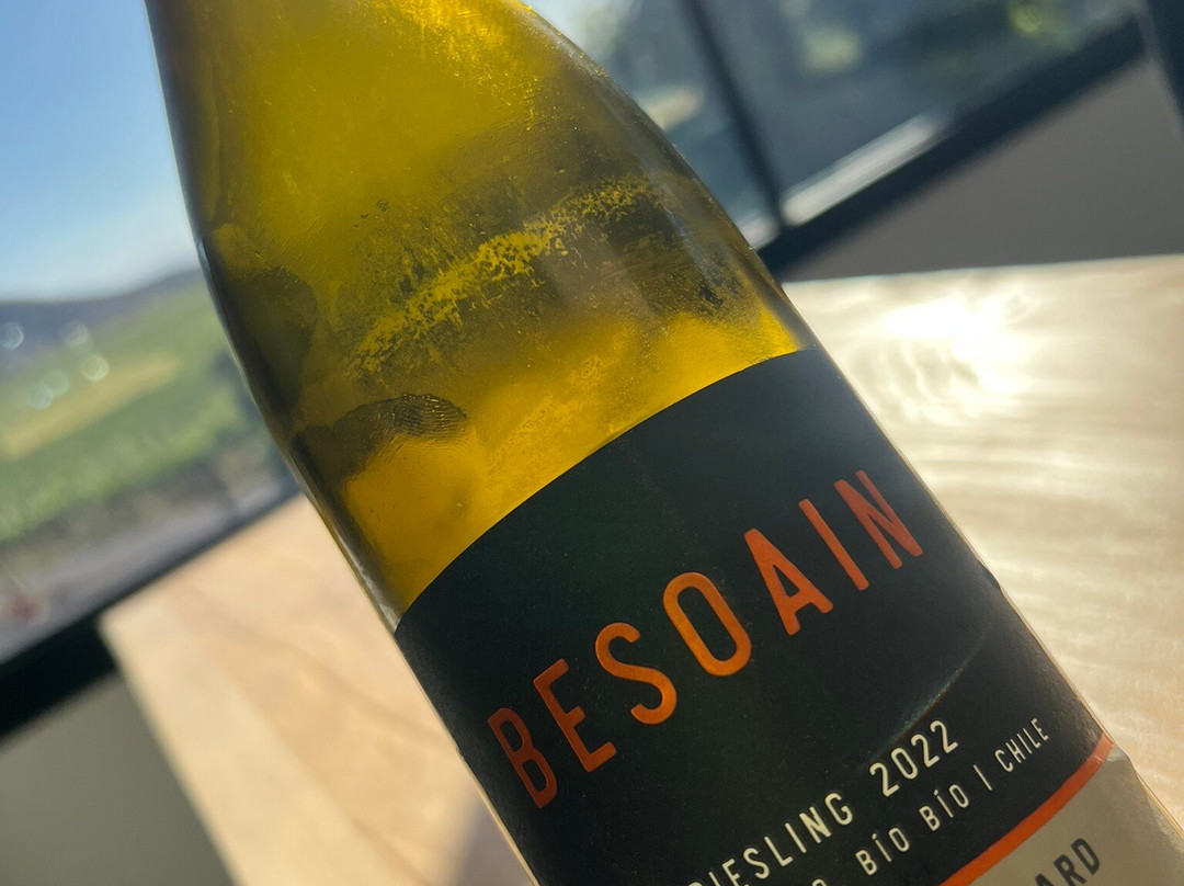 BESOAIN Wines-Pirque必去景点