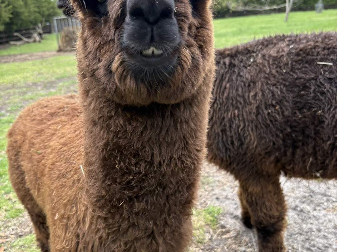 Azure on Panorama-Boneo必去景点