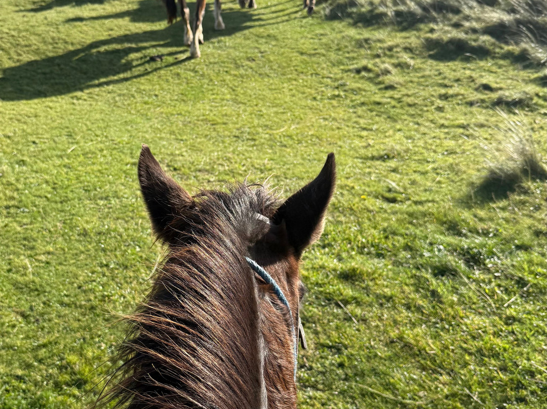 O'Connor Trekking-Castlegregory必去景点