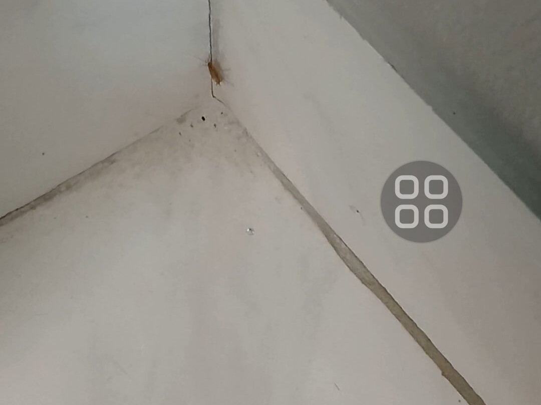 玛丽安娜旅馆&套房酒店主图