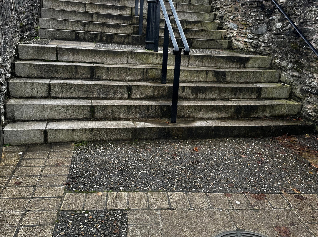 McNamara's Famous Guided Walking Tours-德里必去景点