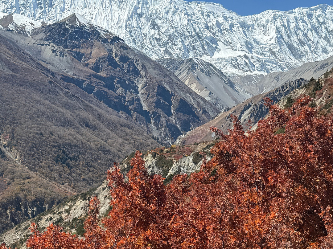 Himalayan Terrain Treks and Expedition Pvt. Ltd.-加德满都必去景点