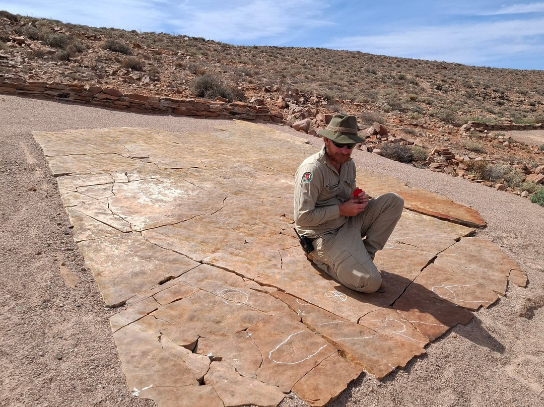 Nilpena Ediacara National Park-null必去景点