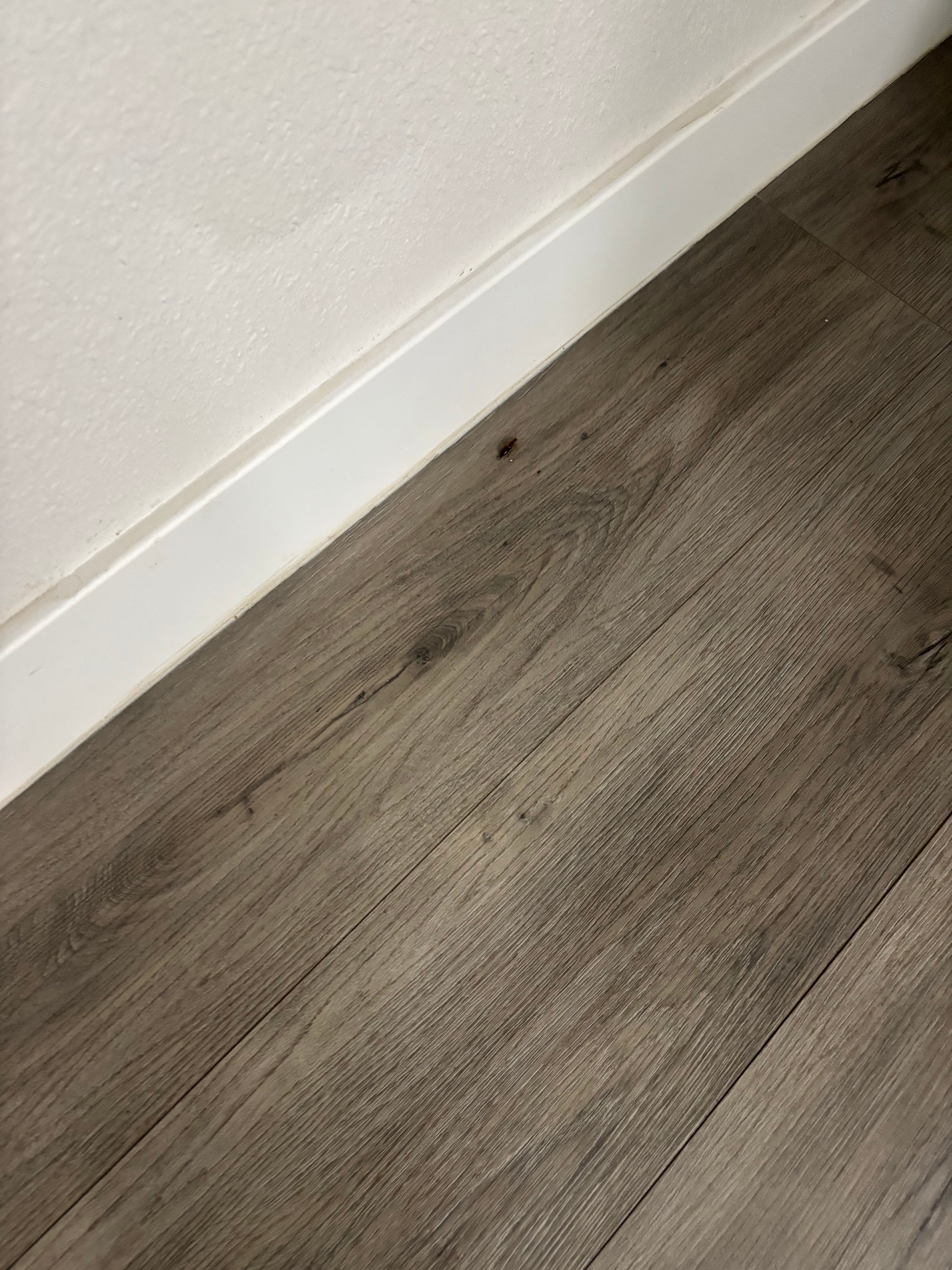 Quality Inn Terre Haute University Area-客卧