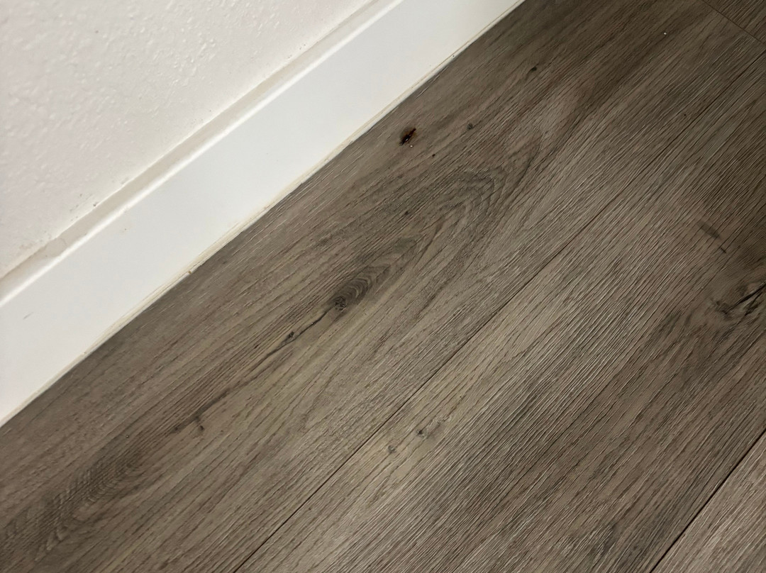 Quality Inn Terre Haute University Area主图