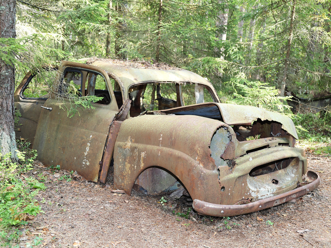 Kyrkö Mosse-Ryd必去景点