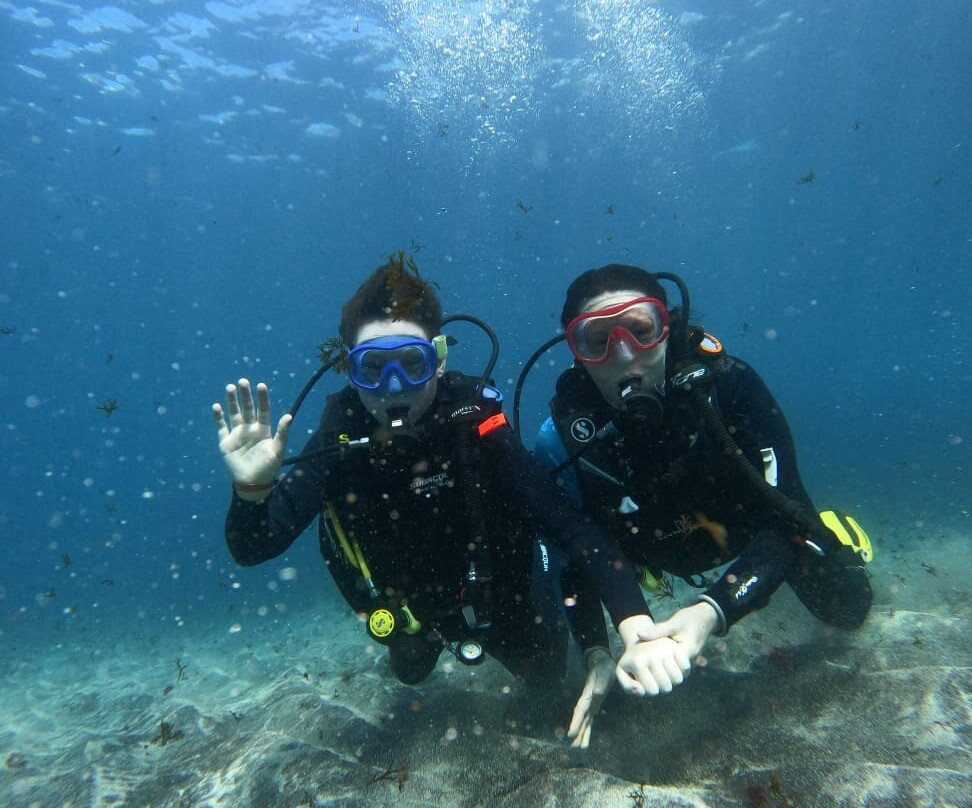 Diversion-阿尔卡拉必去景点