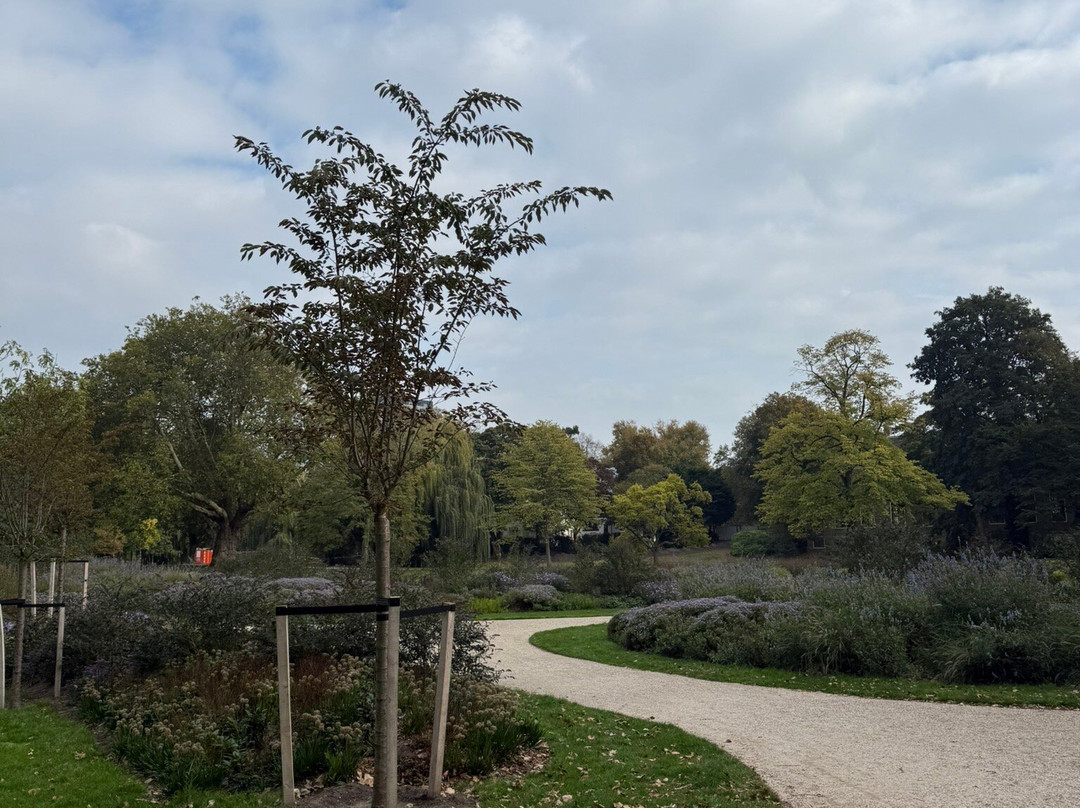 Het Park-鹿特丹必去景点